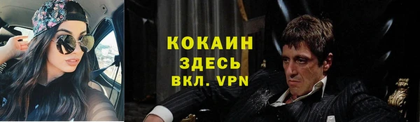 прущая мука Вяземский