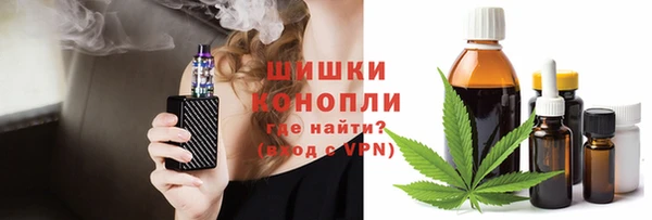 прущая мука Вяземский