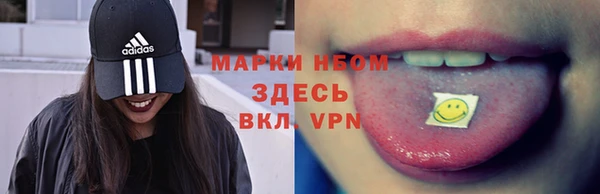 прущая мука Вяземский