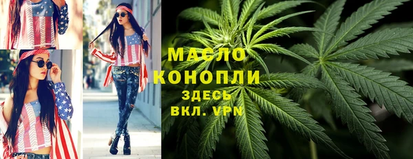 прущая мука Вяземский