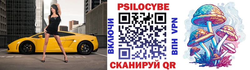 купить наркотик Миасс Галлюциногенные грибы GOLDEN TEACHER